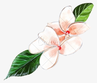 Painted Hands Pink Photos By Canva - Illustration