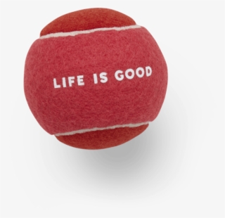 Life Is Good Dog Tennis Ball - Tchoukball