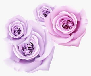 3d Flower Wallpapers Rose - Фотообои Туннель С Розами