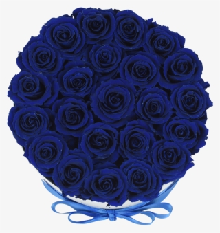 Royal Blue - Royal Blue Roses