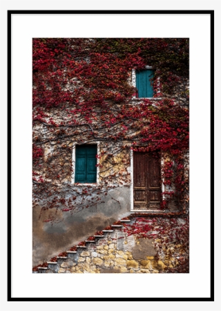 Picture Frame
