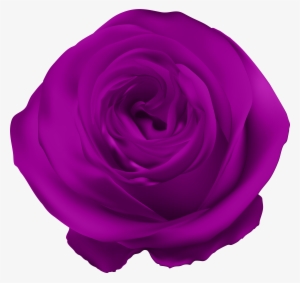Rose Clip Art Gallery