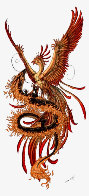 Phoenix Tattoos Png - Phoenix And Dragon