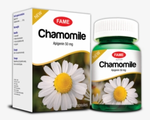 Let's Prevent Cancer By Taking Chamomile, The Richest - Best Daily Facial Moisturizer For Oily, Combination,