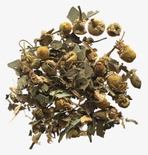Ginger Mint Chamomile - Tea