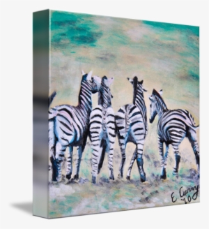 "four Little Zebras" By Evelyn Curry - Gallery-wrapped Canvas Art Print 11 X 11 Entitled Four