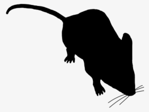 Little Mouse Sniffing Around - Mouse Silhouette Transparent Background