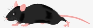 Clipart - Black Mouse Clipart