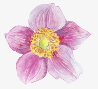 Free Png Download Watercolor Painting Png Images Background - Flower