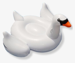 Giant Swan Inflatable Pool Float - Swan Float