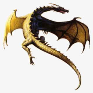 flying dragon png transparent