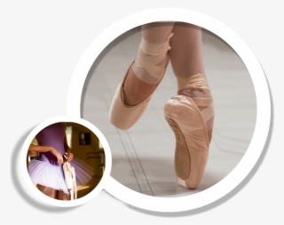 School Of Ballet - Ballet Technique Tracker