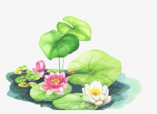 856 X 566 1 - Lotus Leaf Background Clipart