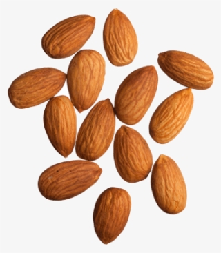 Almond Png, Download Png Image With Transparent Background, - Almonds Png