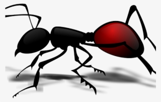 Ants Clipart Vector Png - Ant Body Part Worksheet