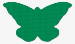 Blank Image