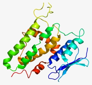 Protein Clic2 Pdb 2per