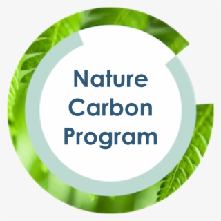 Nature Carbon Program - Ucl Integrated Engineering Programme