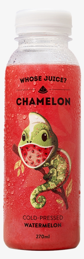 Chamelon Cold-pressed Watermelon - Plastic Bottle