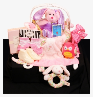Ultimate Baby Girl Welcome Basket - Baby Toys