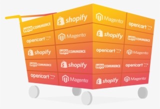 Shopping Cart Guide - Shopify