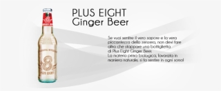 Ginger Beer It - Glass Bottle