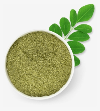 Curry Leaves - Circle