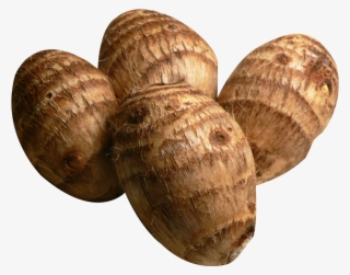 Taro Png Image - Root Crops In The Philippines