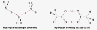 Ch 3co 2h And Nh - Hydrogen Bonding Of Ammonia