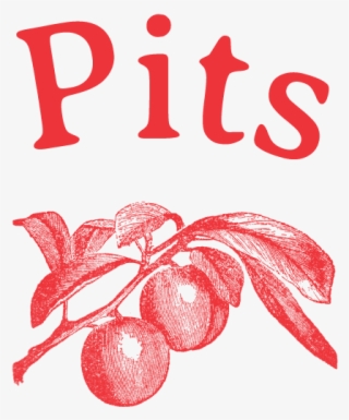 Pits Is A Small, Casual, Neighborhood Restaurant Specializing - Illustration