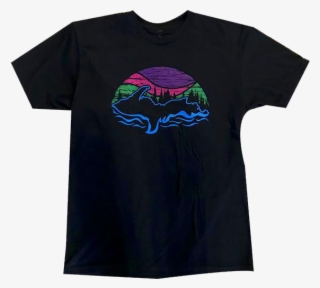 Northern Lights" Black T-shirt - Humpback Whale