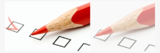 Leidy Berroa - Election
