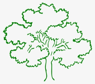 Oak Tree Icon Png