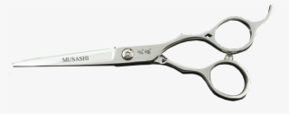 Hair Styling Shears - Scissors