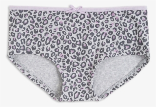 Leopard Print Briefs 5,99 Eur - Panties