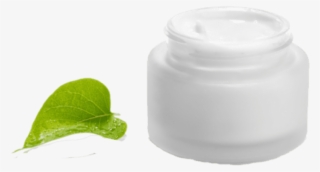Free Png Download Face Cream Bottle Png Images Background - Cosmetics
