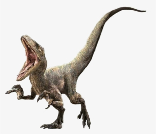 Delta Jurassic Park Wiki - Jurassic World Velociraptor Delta
