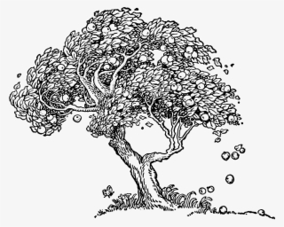 Logo - Vintage Apple Tree Illustration