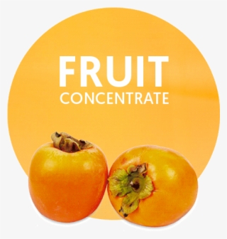 com/wp fruit concentrate letras - persimmon