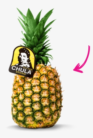 Pineapple - Chula Brand