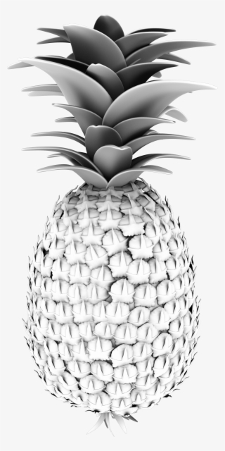 130 oryza 01 lit - pineapple