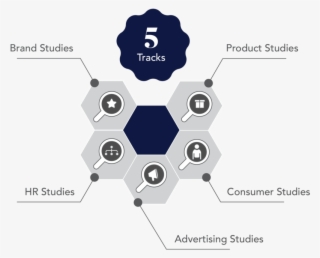 Inkblot Analytics Market Research Company - Diagram