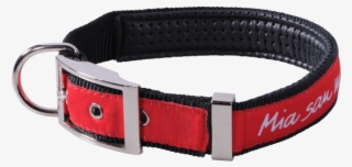 Strap