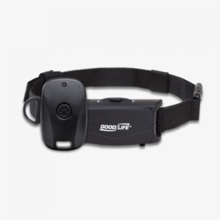 Barkwise Complete With Remote