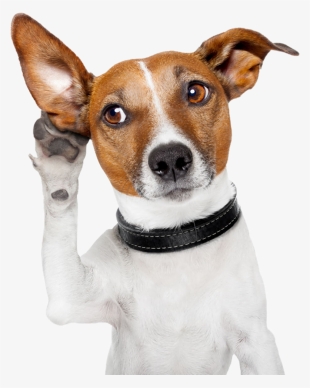 Dog Png Image Free Download Searchpng - Get Attention