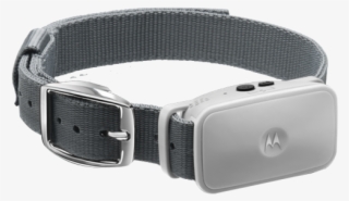 Bark200u Na Fr 2 1 - Strap
