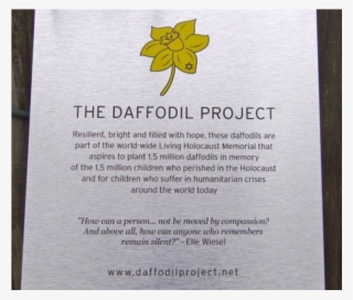 A Week After The Daffodil Project, On Jan - Narcissus