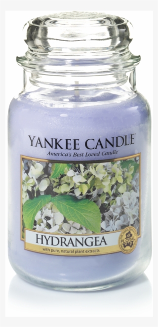 Yankee Candle - Hydrangea - Yankee Candle Hydrangea