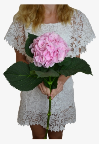 Pink Hydrangea Flower Shop Studio Flores - Bouquet