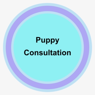 Puppy-consultation - Consultation Room